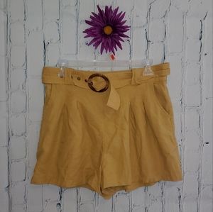 American Eagle Bag Shorts